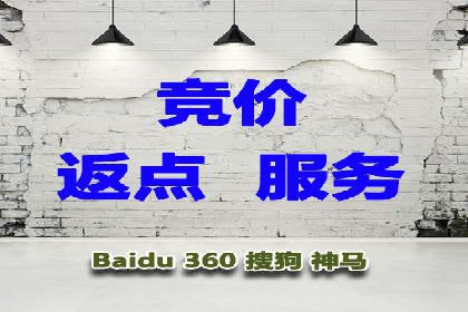 百度优化推广全解析：从零到一的流量增长